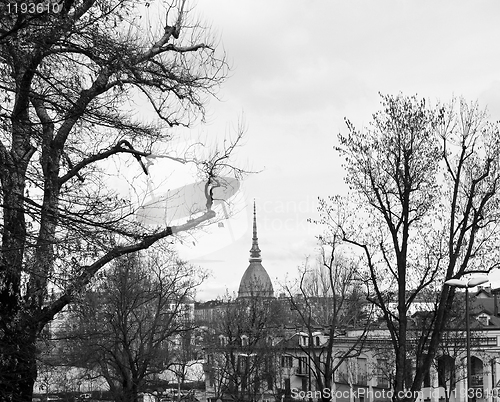 Image of Turin view