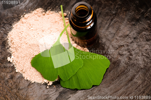 Image of fresh leaves ginko biloba essential oil and powder - beauty trea