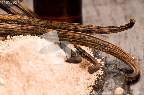 Image of Vanilla With Bottle Of Essential Oil And Powder- Beauty Treatmen