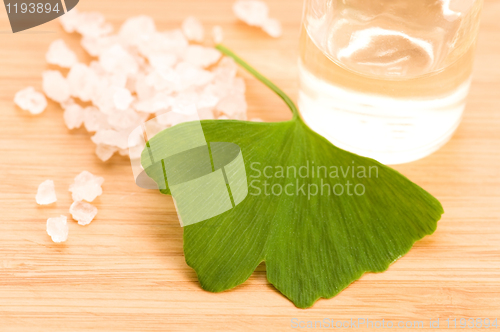 Image of fresh leaves ginko biloba essential oil and sea salt - beauty tr