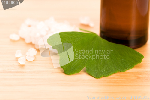 Image of fresh leaves ginko biloba essential oil and sea salt - beauty tr