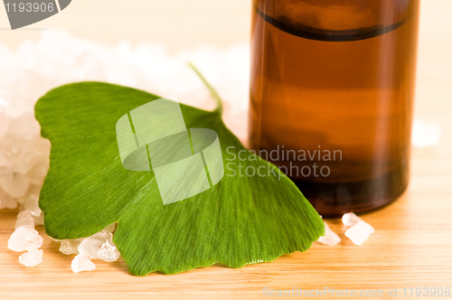 Image of fresh leaves ginko biloba essential oil and sea salt - beauty tr