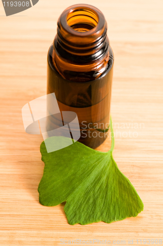 Image of ginko biloba essential oil with fresh leaves - beauty treatment