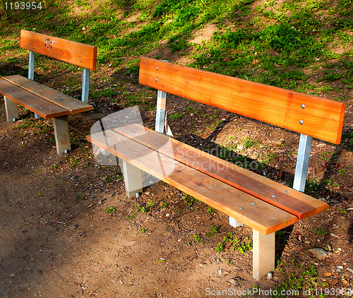 Image of benches in a beautiful park