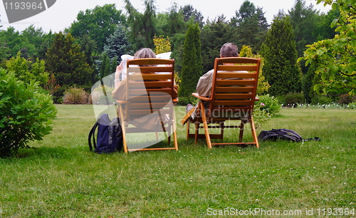 Image of benches in a beautiful park