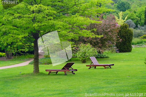 Image of benches in a beautiful park