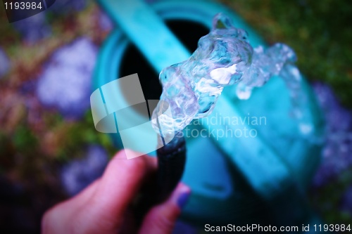 Image of Fan