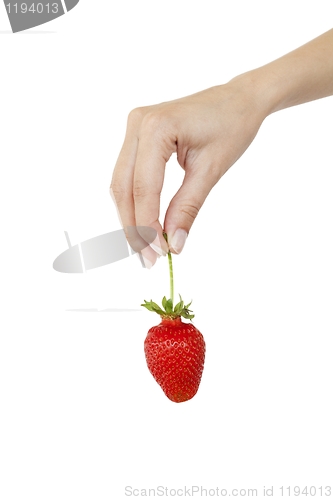 Image of Fresh strawberry