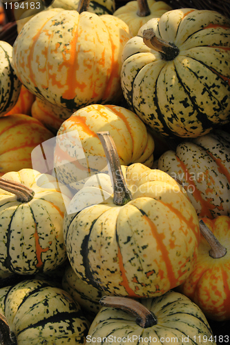 Image of autumn pumpkins