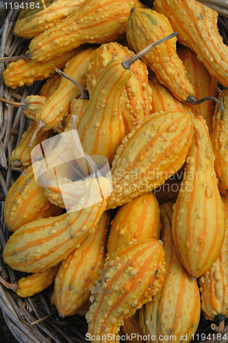 Image of autumn pumpkins