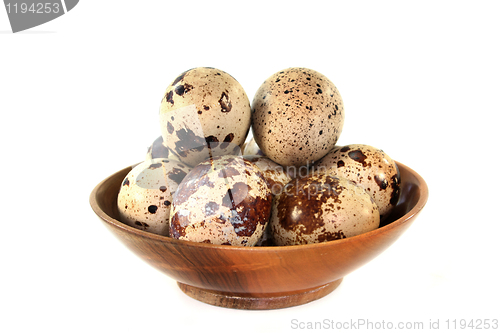 Image of Quail eggs