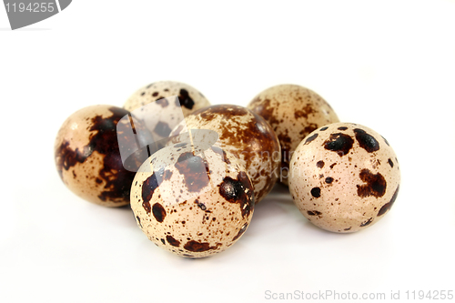 Image of Quail eggs