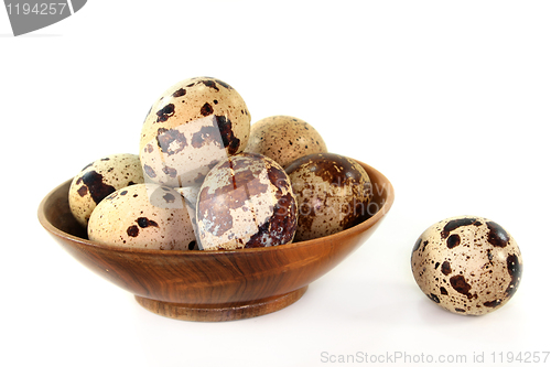 Image of Quail eggs
