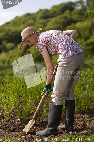 Image of Gardening