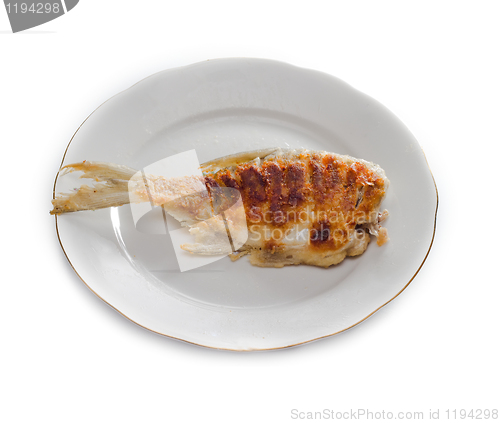 Image of fry  fish