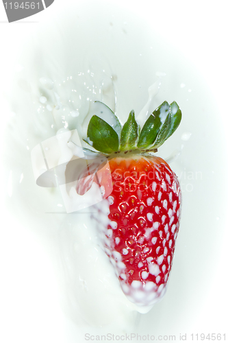 Image of strawberry splashing into milk