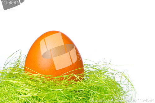 Image of easter egg in nest