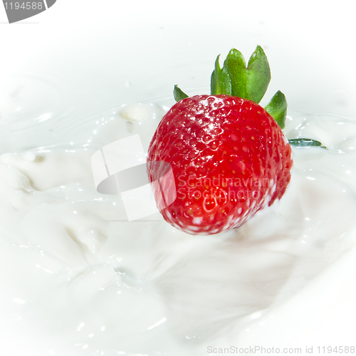 Image of strawberry splashing into milk