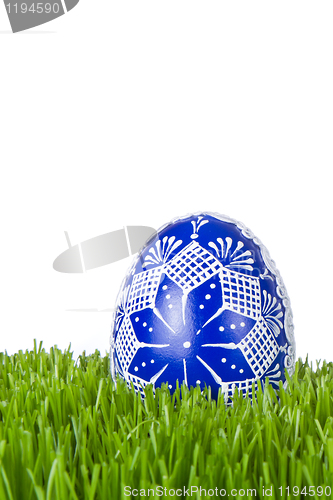 Image of easter egg in grass