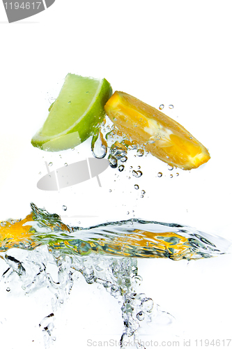 Image of citrus fruit splashing