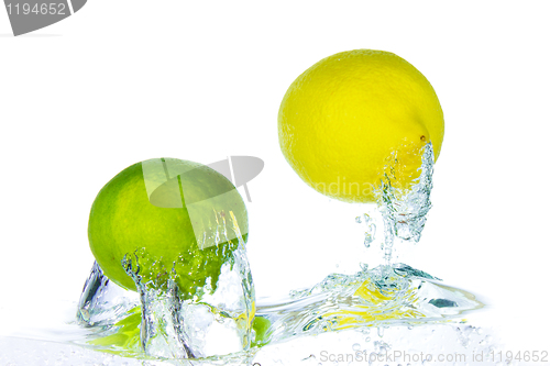 Image of citrus fruit splashing