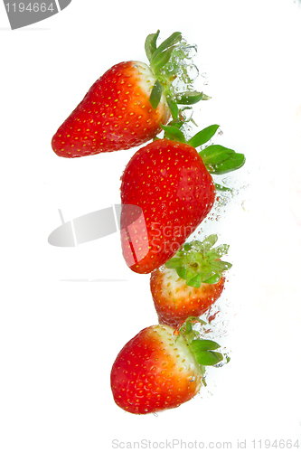 Image of strawberry in the water