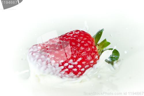 Image of strawberry splashing into milk