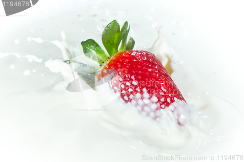 Image of strawberry splashing into milk