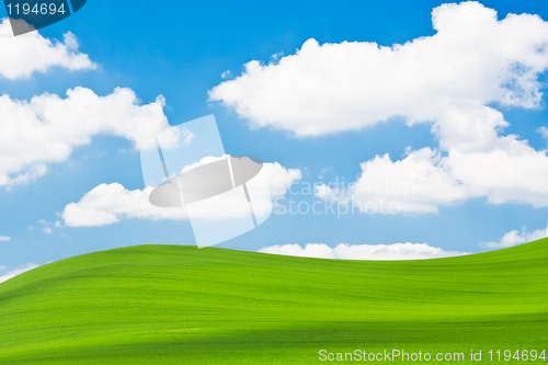 Image of green field