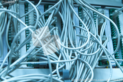 Image of ethernet cables