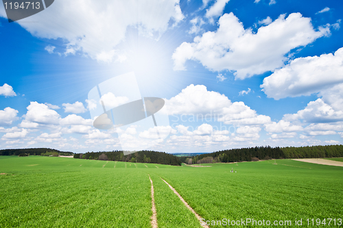 Image of green field