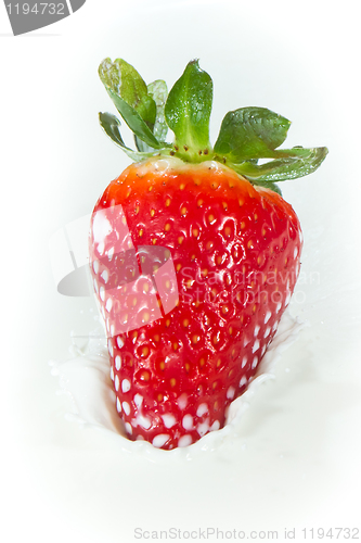 Image of strawberry splashing into milk