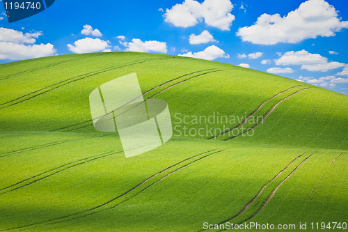 Image of green field