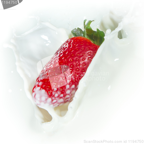 Image of strawberry splashing into milk