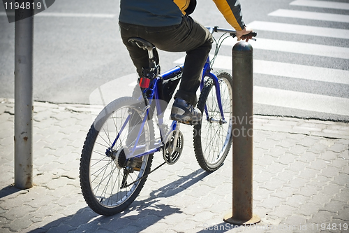 Image of Bike rider