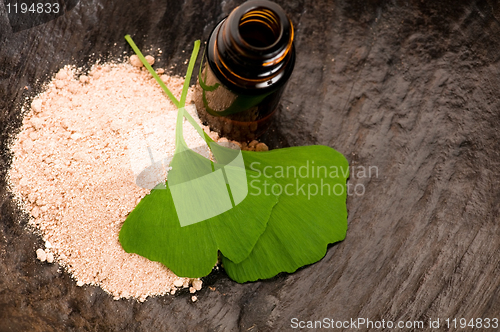 Image of fresh leaves ginko biloba essential oil and powder - beauty trea