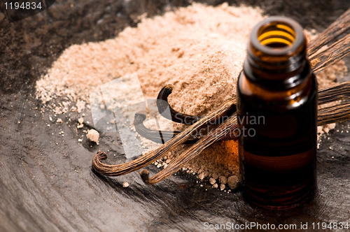 Image of Vanilla With Bottle Of Essential Oil And Powder- Beauty Treatmen