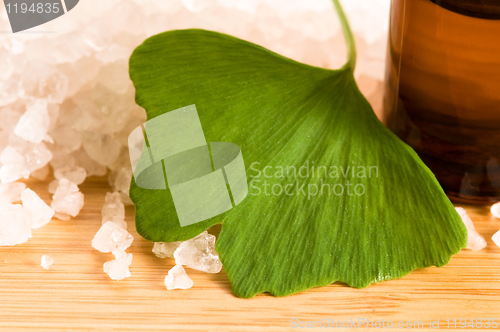 Image of fresh leaves ginko biloba essential oil and sea salt - beauty tr