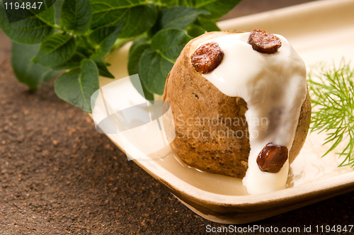 Image of Baked potato with sour cream, greaves and fresh dill