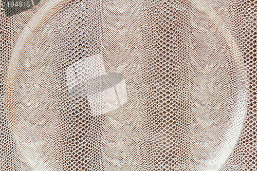 Image of Snake texture