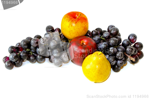 Image of Fruit