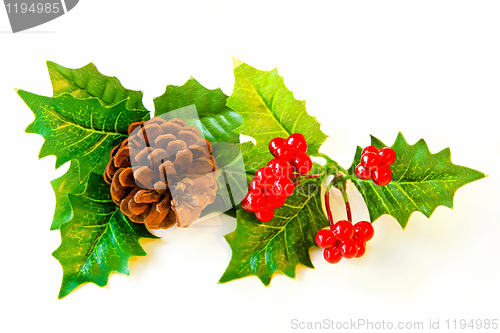 Image of Mistletoe decor