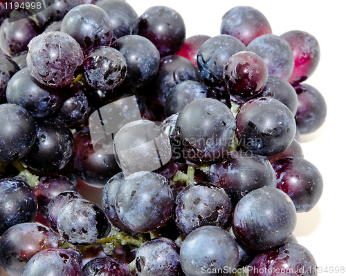 Image of Grapes detail