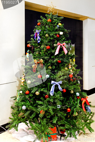 Image of Christmas tree