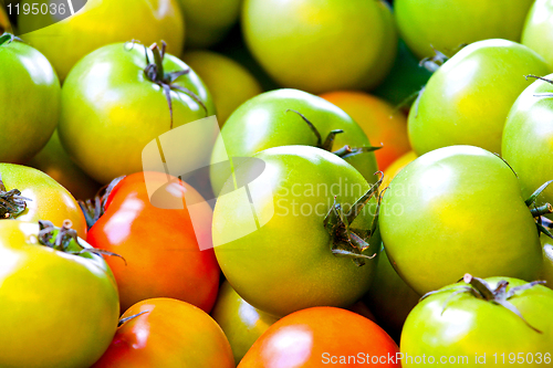 Image of Green tomatoes