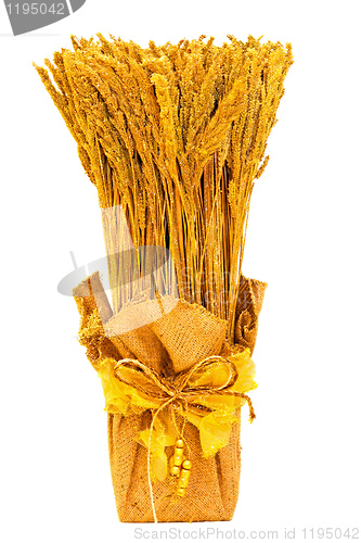 Image of Christmas wheat