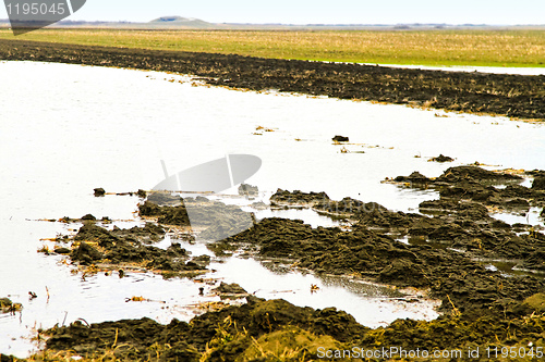 Image of Flooded field