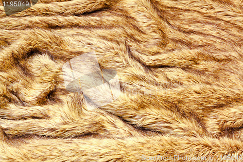 Image of Fur texture