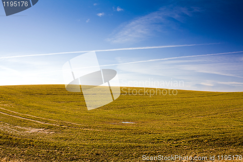 Image of Field after snow has thawed