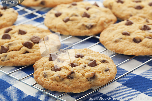Image of Cooling Cookies